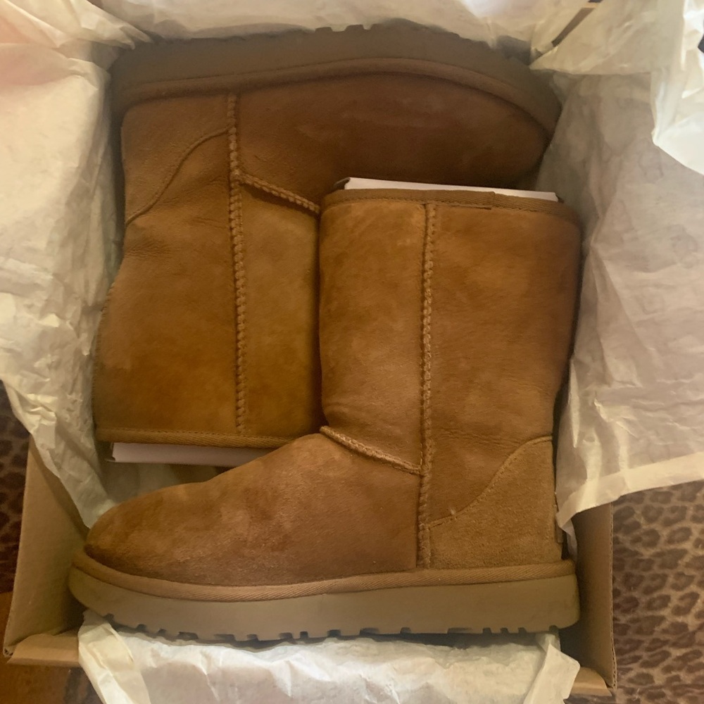 Classic Chestnut Uggs
